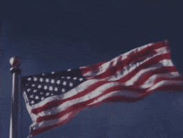 Independence Day Usa GIF by US National Archives