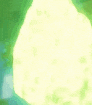 Metapod Compression GIF