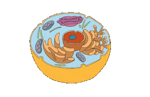 Biology Sticker
