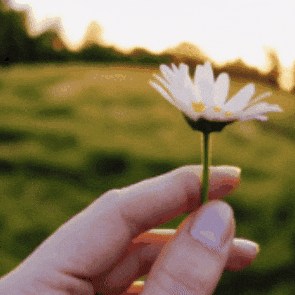 Flower Love GIF by Salih Kizilkaya