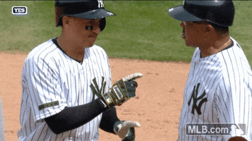 new york yankees point GIF by MLB