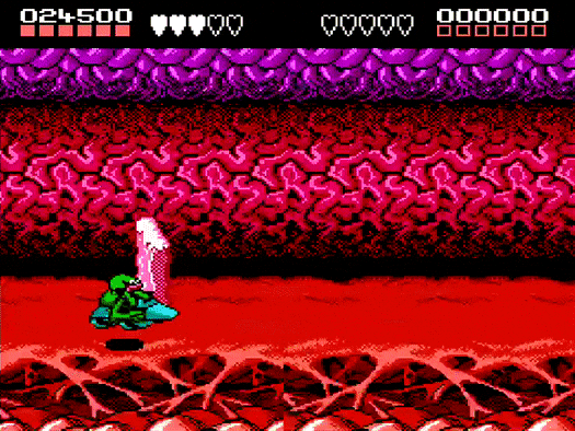 Ruim Battletoad