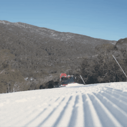 GIF by Thredbo