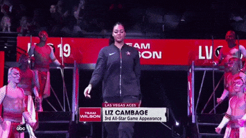 Liz Cambage GIF by WNBA