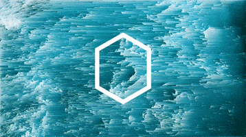 teamkilleveryone GIF