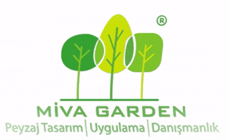 miva_garden design garden urban landscape GIF