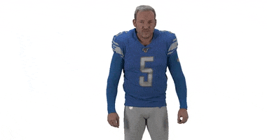 Happy National Football League GIF by Detroit Lions