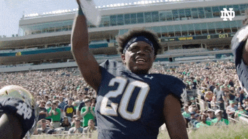 Notre Dame Nd GIF by Notre Dame Fighting Irish