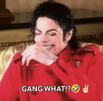 Reaction GIF