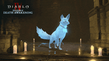 Death Cult Pet GIF by Diablo