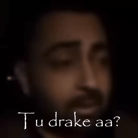 Drake Sharry GIF