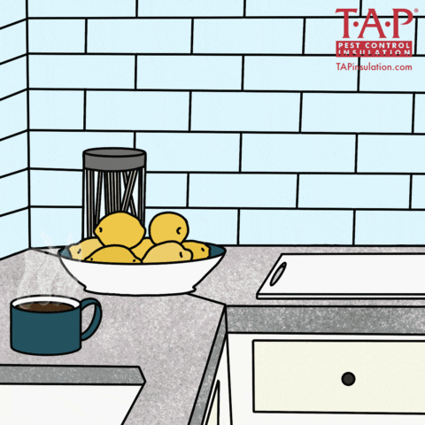 Kitchen GIF
