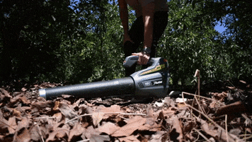Blow Me GIF by Hunter Power Tools