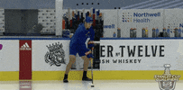 Ice Hockey GIF by NHL