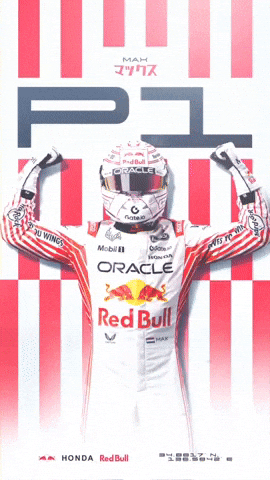 Max Verstappen GIF