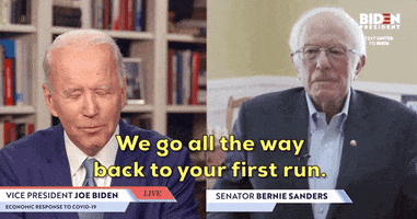 Bernie Sanders GIF by Election 2020