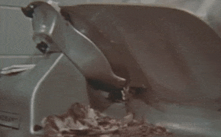 Hungry Vintage GIF by Texas Archive of the Moving Image