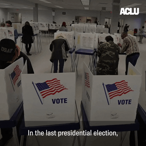 Accessible Voting Act GIF by ACLU
