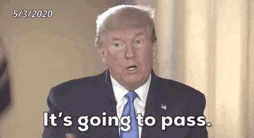 Donald Trump Rona GIF by GIPHY News