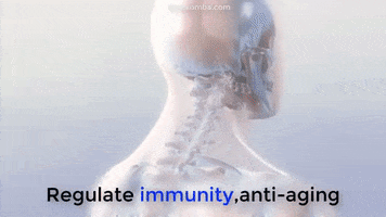 Exercise GIF