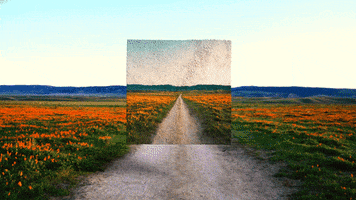 anthony samaniego GIF