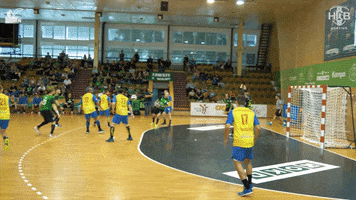Goal Handball GIF by HCB Karviná