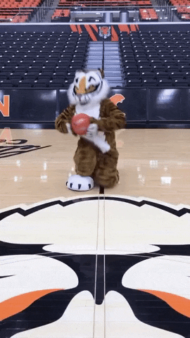 Go Tigers Basketball GIF by Princeton University