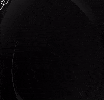 Apollo Artist Management GIF