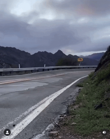 Wen Lambo GIF