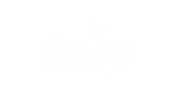 Chicocarros Sticker by Chico Automóveis