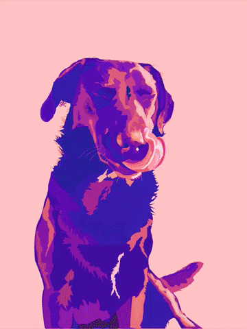 guadaceragioli dog perro ilustration ilustracionesgc GIF