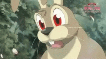 Face GIF