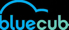 bluecub-eu bluecub GIF