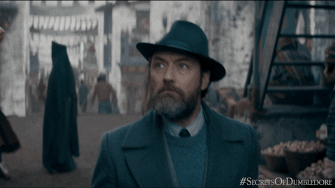 Fantasticbeasts GIF by Fantastic Beasts: The Secrets of Dumbledore - Find & Share on GIPHY