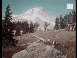 Cianci per Montalto, siete d'accordo? - Pagina 2 200.gif?cid=a0a8deb3znwys2qnwv7k0a67n3jlg76awgkz60fmsttakb9e&rid=200