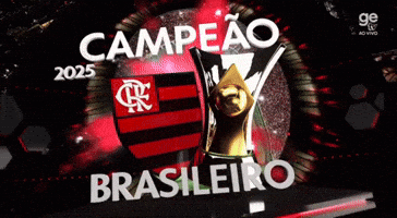 Flamengo Edite GIF