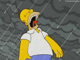 Kuvahaun tulos haulle homer simpson bad weather