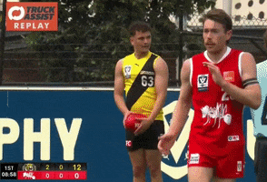 Vfl GIF