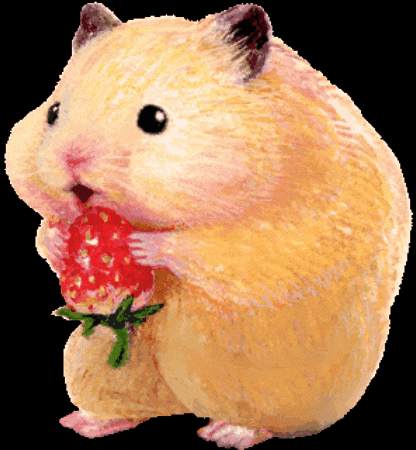 Hamster Eating GIF