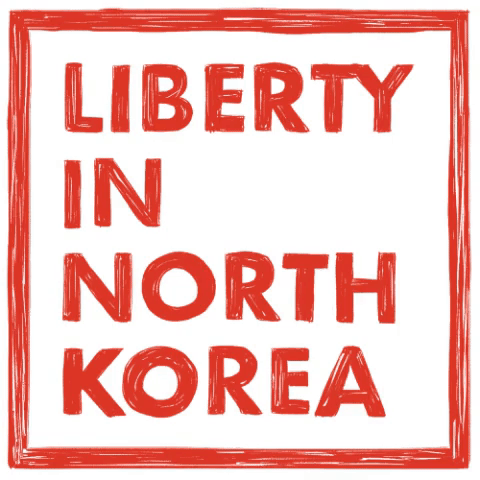 link liberty GIF