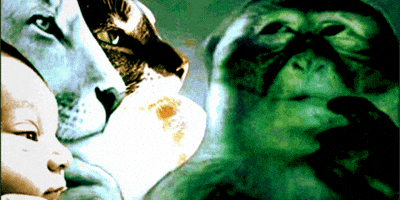 Confused Awkward GIF