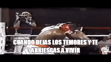 stevens no te rindas GIF