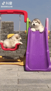 Cutie GIFs - Get the best GIF on GIPHY