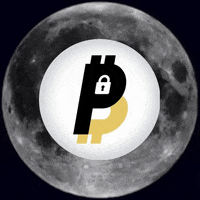 Crypto Moon GIF by BitPal