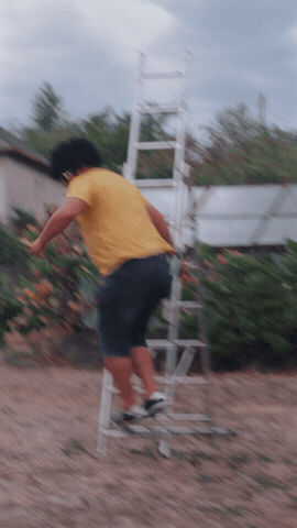 Laci GIF by Gasty
