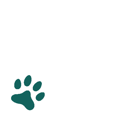 Paws Sticker by KUNKAY