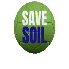 Qatar 2022 Football Sticker by Save Soil