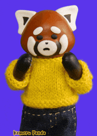 Baby Red Panda Gifs Get The Best Gif On Giphy Baby Red Panda Gifs Get The Best Gif On Giphy
