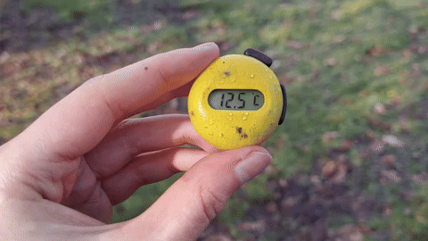 light modes functions