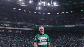 Nuno Santos GIF by Sporting CP